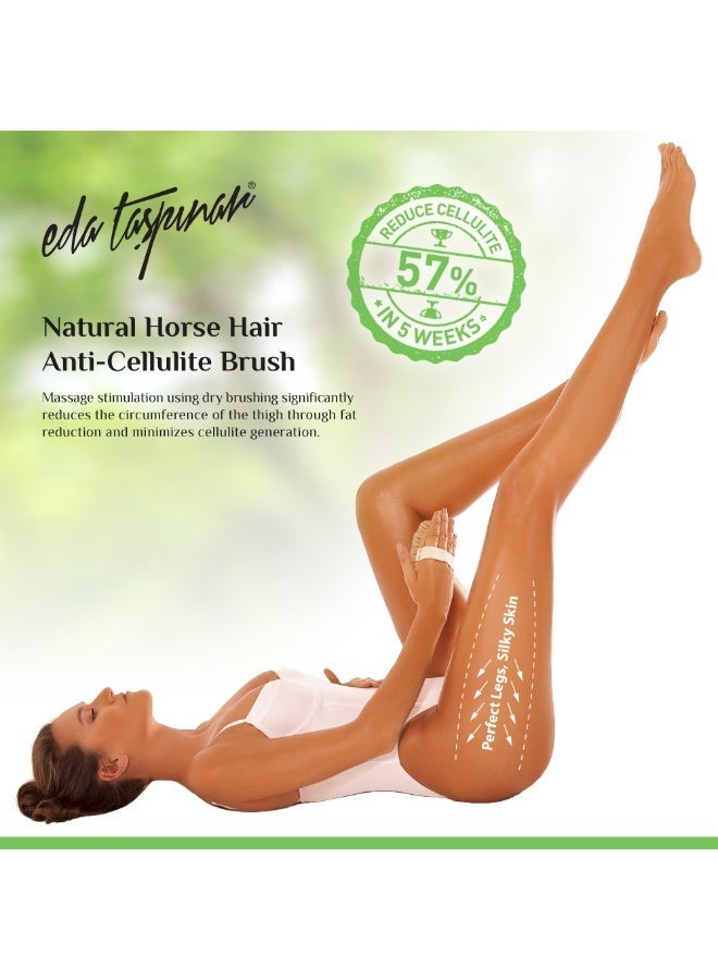 eda taspinar Anti-Cellulite Dry Brush Natural Horse Hairbrush, Removes Cellulite by 57% in 5 Weeks, Exfoliating Body Scrubber, Improves Lymphatic Function, Silky Skin, Animal Friendly - Image 3
